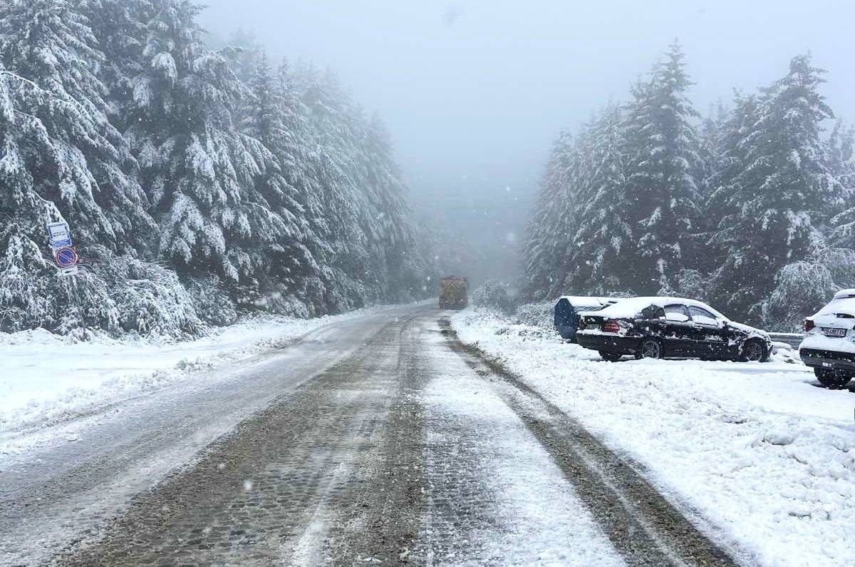 Първи сняг на Витоша  (1)