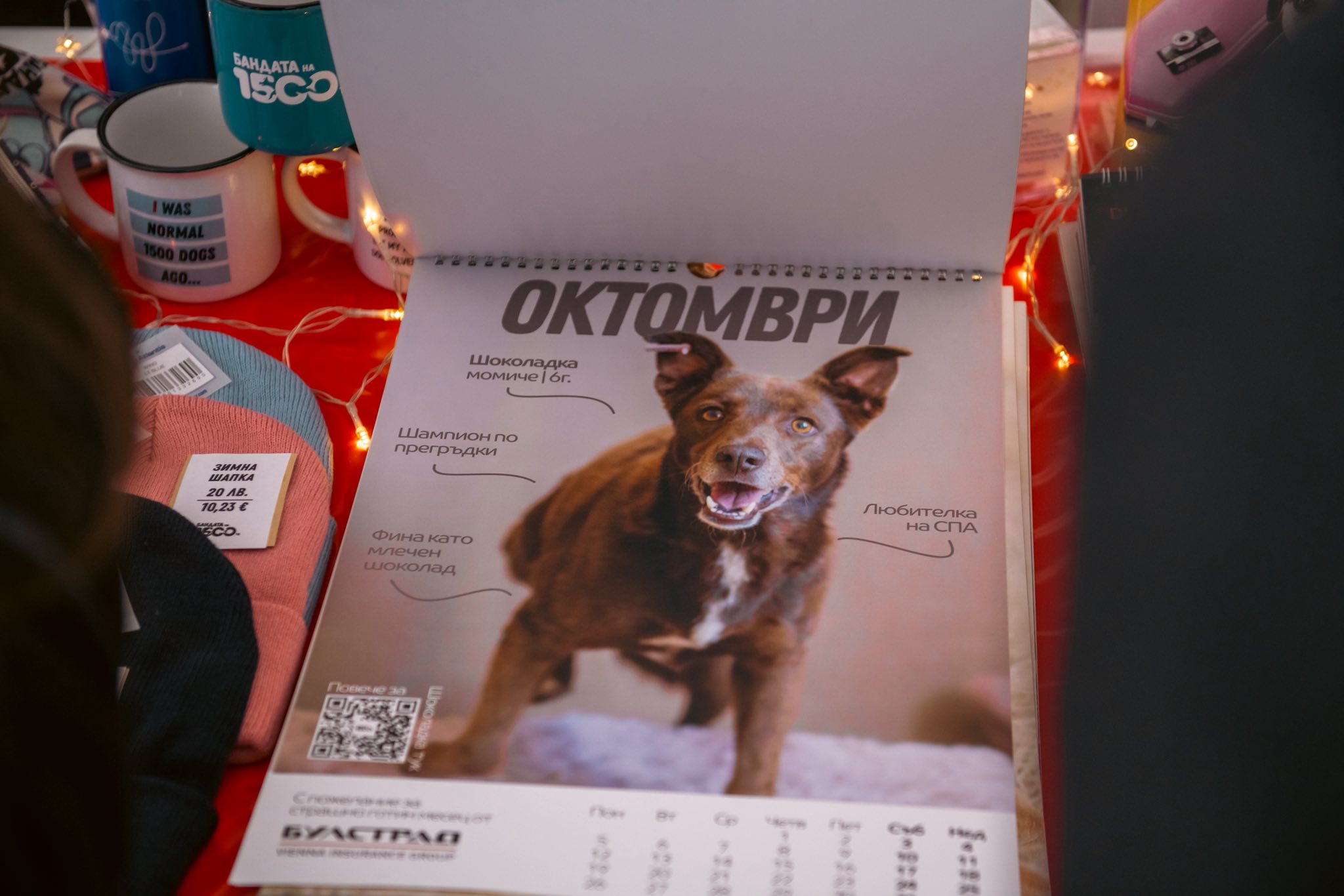 кампания (1)