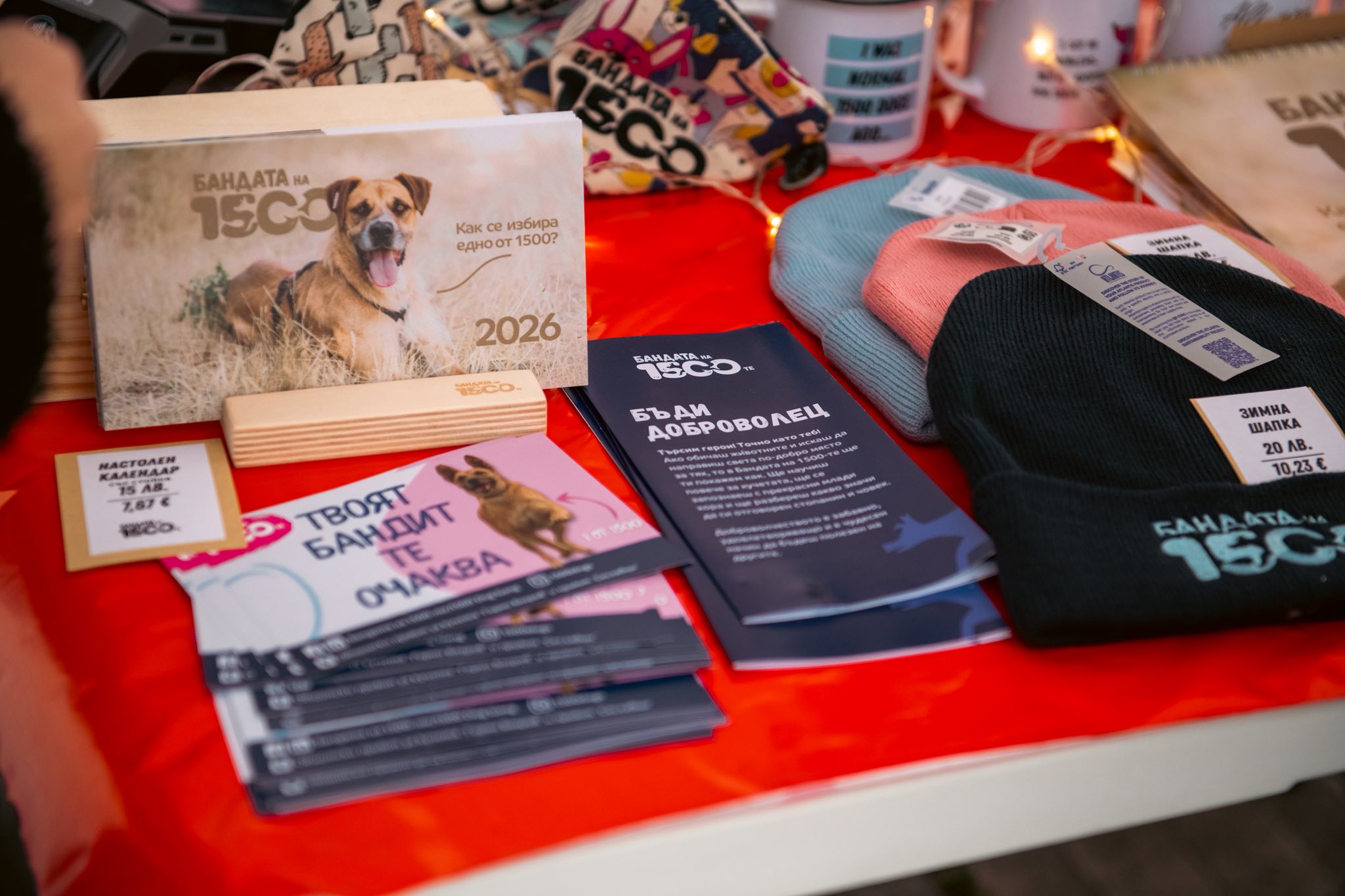 кампания (3)