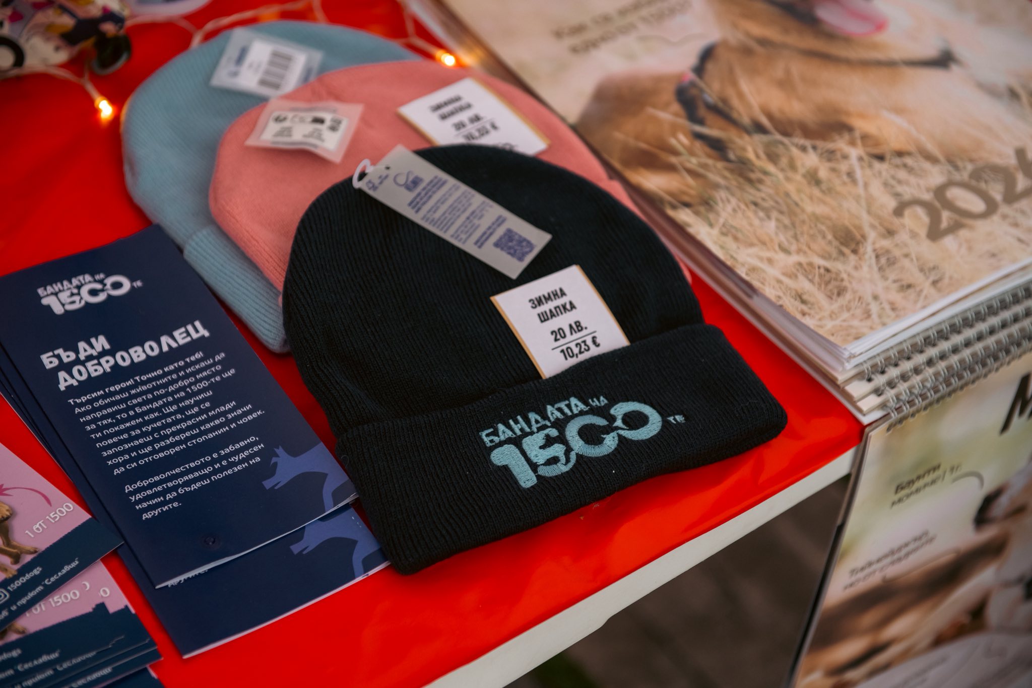 кампания (7)