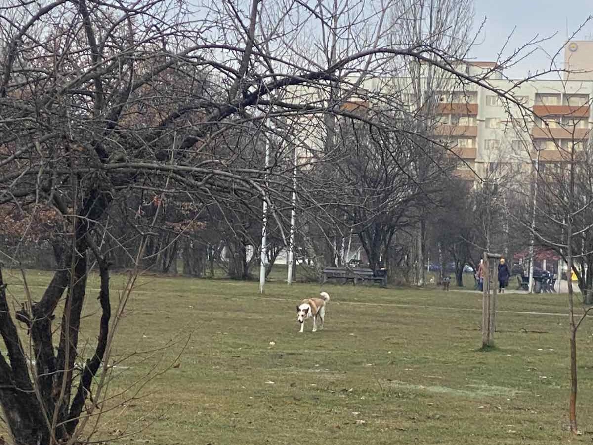 340 проверки 2