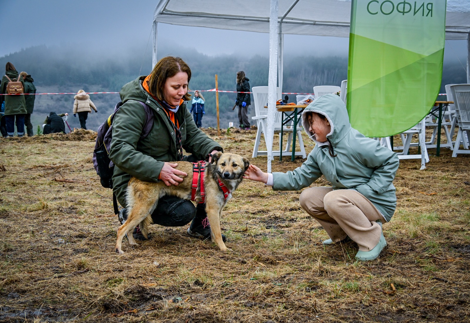 Десетки доброволци (4)