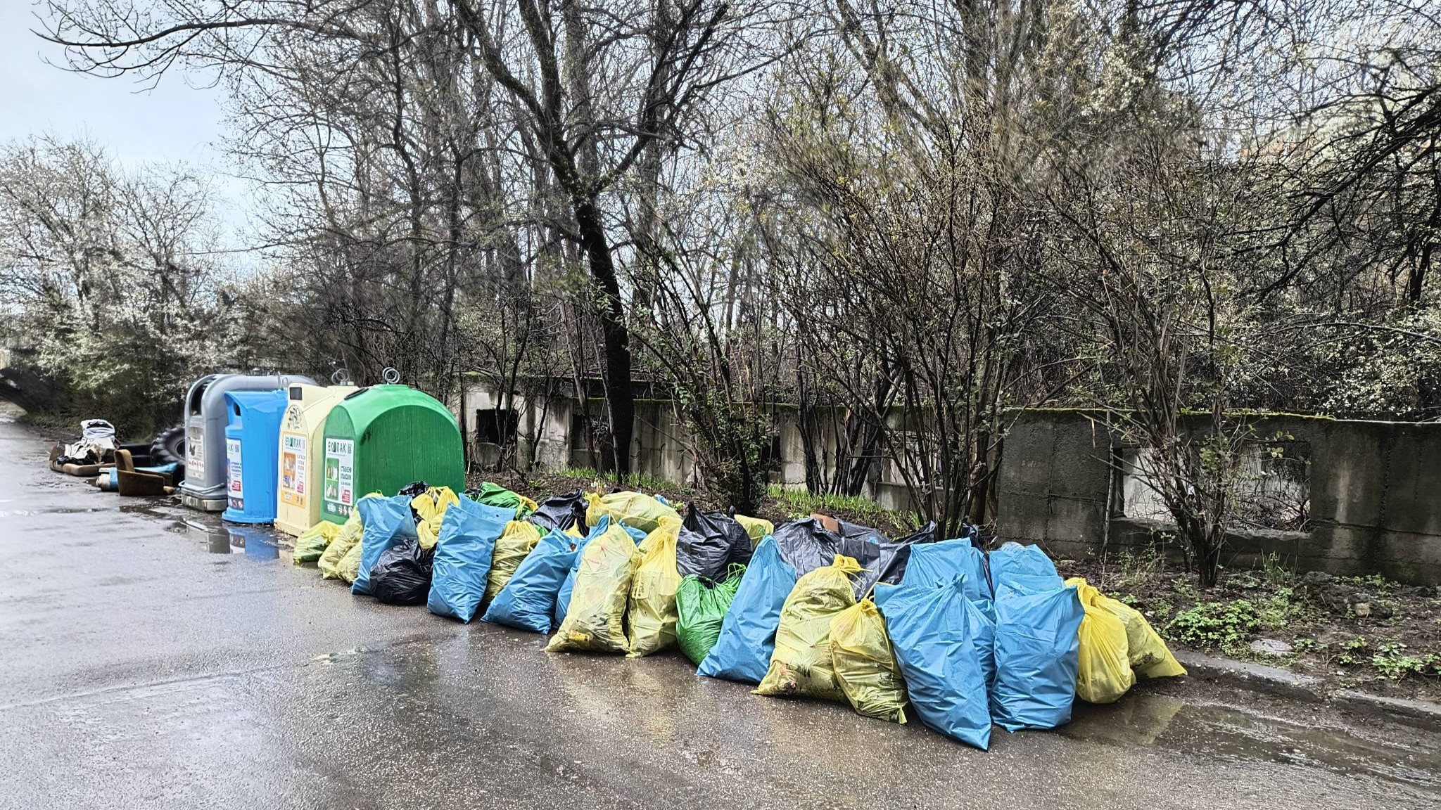 пролетно почистване (4)