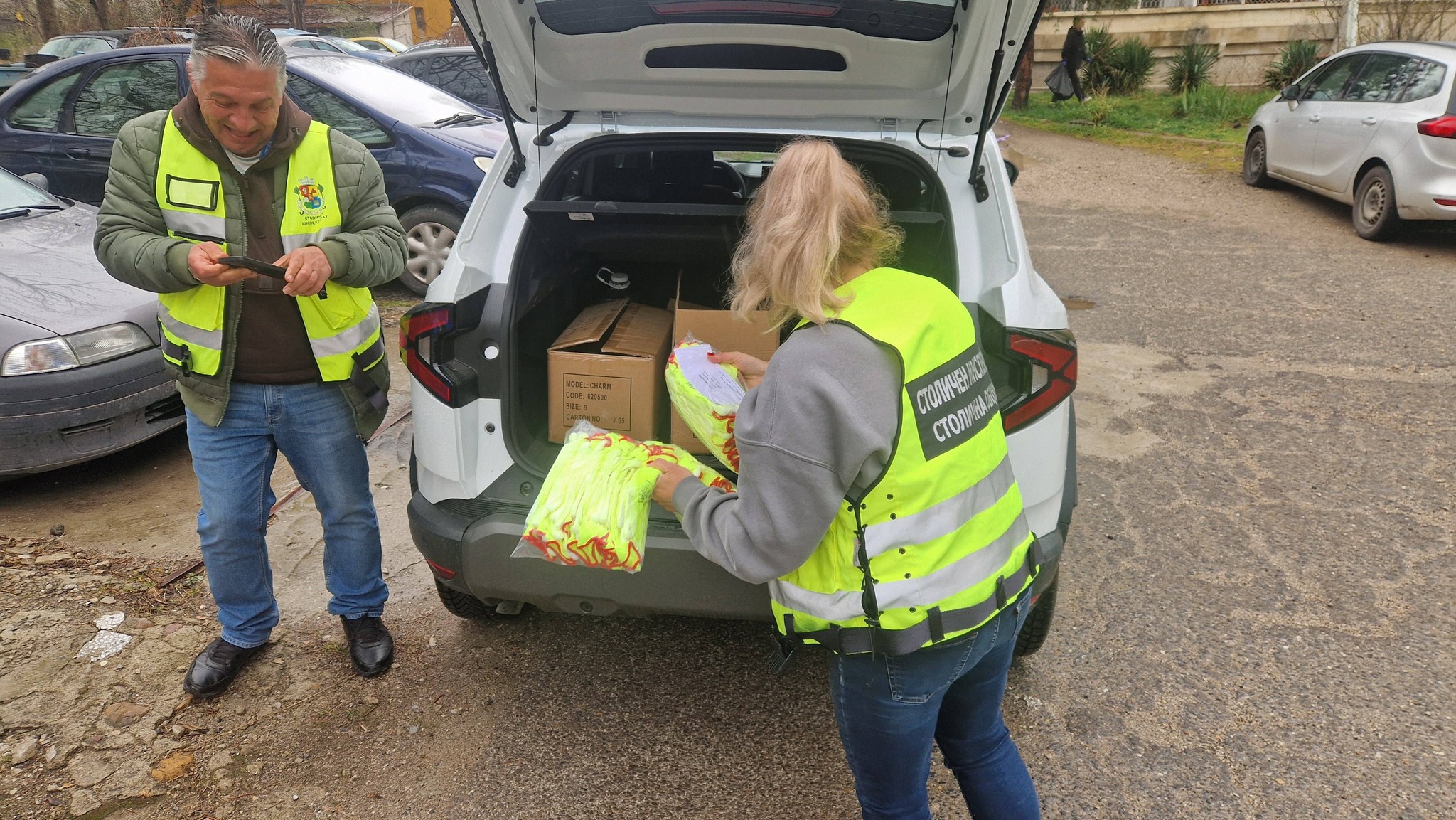 пролетно почистване (6)