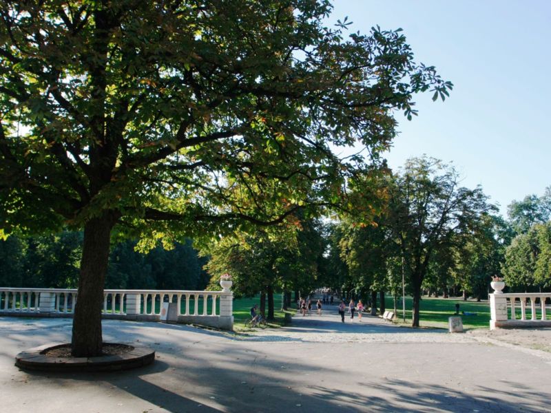 Борисова градина