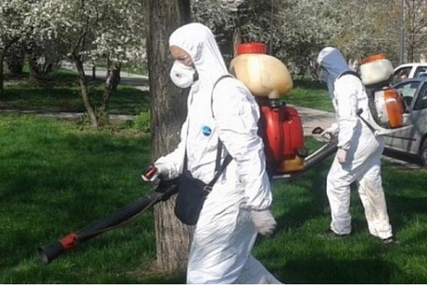 Извършват обработки срещу комари на общински зелени площи