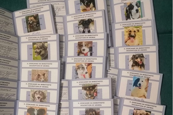 22 кучета от приюта на „Екоравновесие“  заминаха за новите си домове в Германия