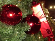 Кампания на Столична община „Да украсим София за Коледа”