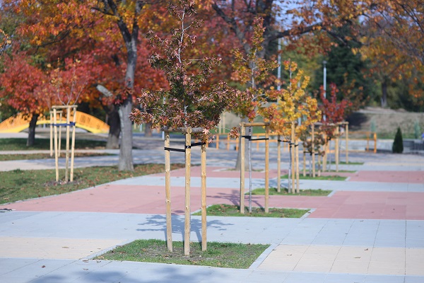 Над 200 броя фиданки са засадени в Северен парк тази есен