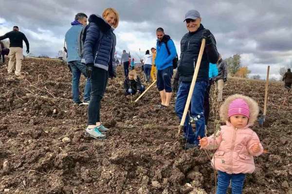 4500 нови фиданки в Новата гора на София през втория уикенд от залесяването