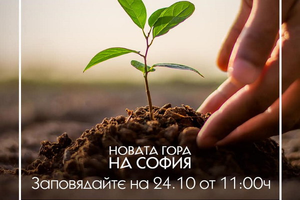 Над 80 000 млади фиданки вече растат в Новата гора на София