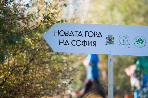 Близо 10 000 нови дръвчета в Новата гора на София. Засаждането продължава