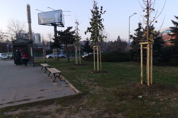 Продължава засаждането на широколистни и иглолистни фиданки в града