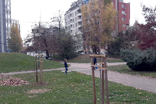 Продължава засаждането на широколистни и иглолистни фиданки в града