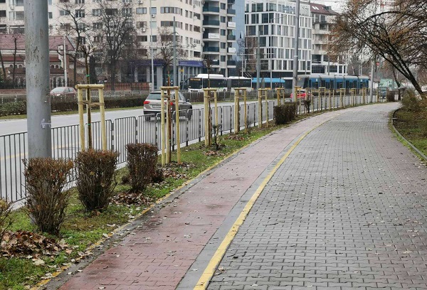 Близо 5000 нови дървета са засадени в градска среда тази есен в София