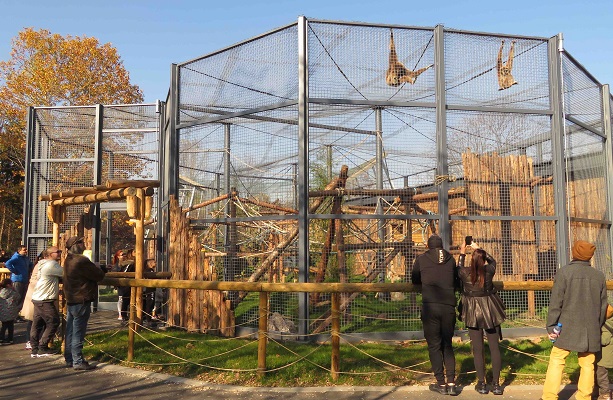 Близо 300 000 посетители през 2020 г. в Зоологическа градина – София