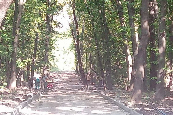 Значителен е напредъкът по ремонта на Западен парк