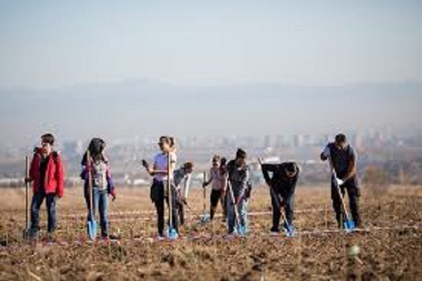 51 декара нова гора ще бъде засадена през тази година в Столичната община