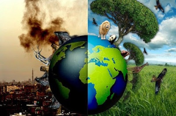 Столична община стартира още два проекта от своята Програма „Пясъчник за иновативни решения“