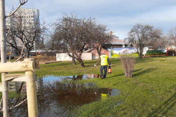 Продължава извършването на обработки на срещу ларви на комари