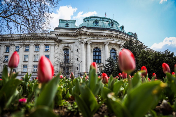 Килим от лалета и теменужки ще разцъфти през пролетта пред НДК