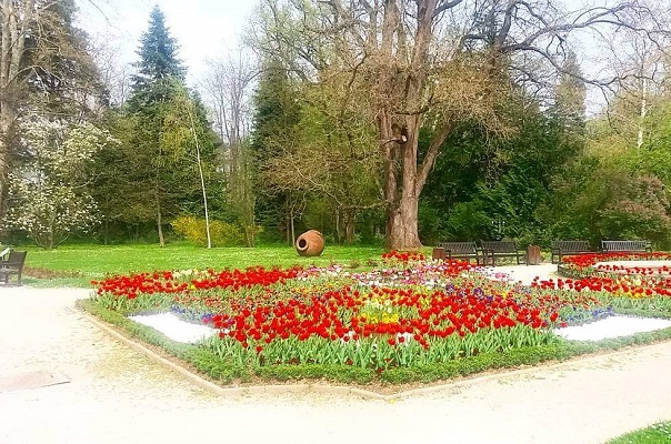 Възстановиха разсадника в парк „Врана“ с 1200 фиданки