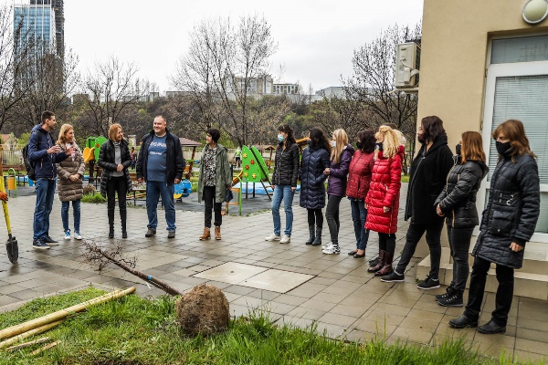 Столична община засажда 500 дървета в дворовете на детски градини и училища