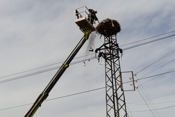 Авариен екип на общината възстанови гнездо на щъркели в с. Мировяне