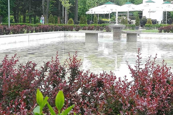 Столична община почисти езерата в Южен парк