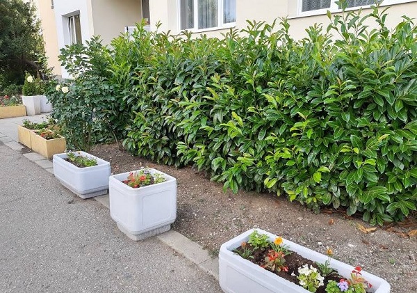 Започва кандидатстването с проекти по Програмата 