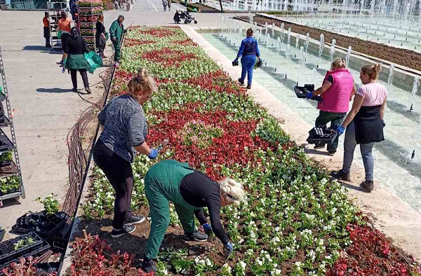 Екипи на ОП „Паркове и градини“ засаждат летни цветя в парковете на София