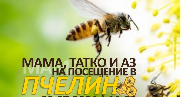 Мама, татко и аз на посещение в пчелина