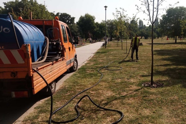 Дирекция „Аварийна помощ и превенция“ подпомага поливането на градските дървета