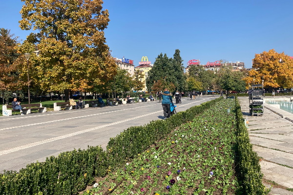 Започна есенно-пролетното зацветяване в градините на София