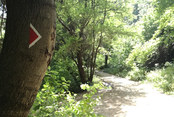 Обновена маркировка улеснява туристи и спортисти на Витоша