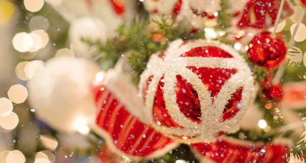 Столичната община отваря Зелен Коледен Екопавилион