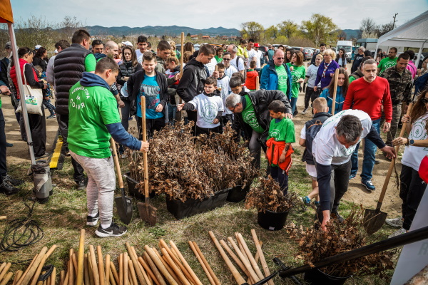Около 4000 фиданки засадиха доброволци в първия ден от инициативата 