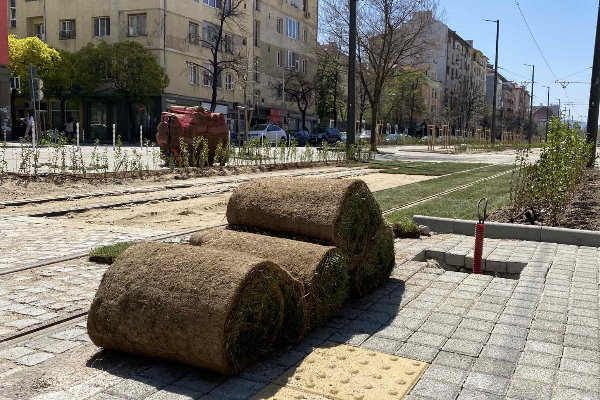 Засаждат „зеления трамвай“ в линейния парк на бул. „Македония“