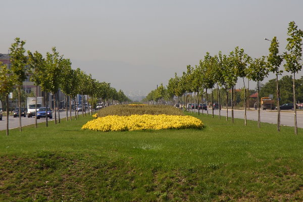 Фандъкова: Готови са първите 6 пилотни проекта за намаляване ефекта на т.нар. 