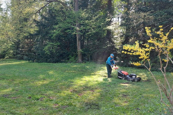 Започна косенето на тревните площи в София