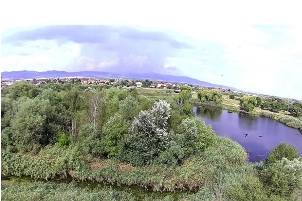 Малкото езеро до с. Негован е обявено за защитена местност