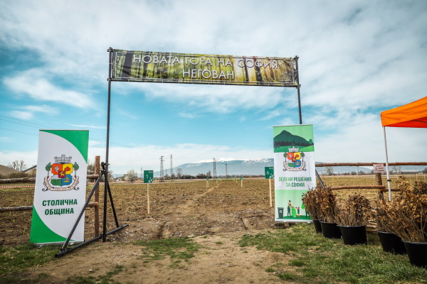 Около 6100 фиданки засадиха доброволци този уикенд в Новата гора на София