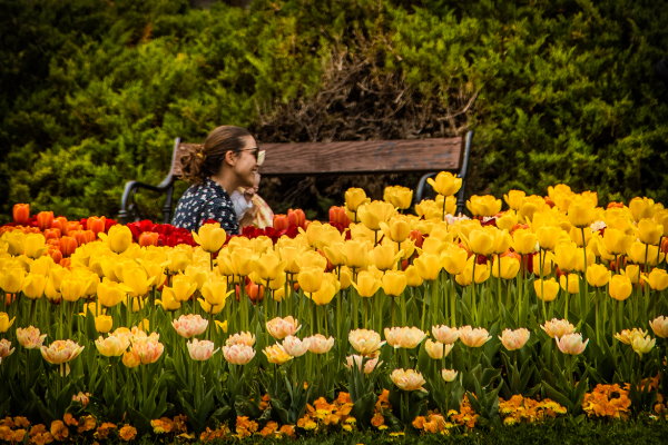 Пролетните цветове на София