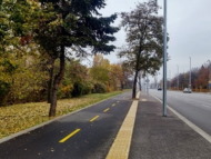 Рехабилитация на част от 