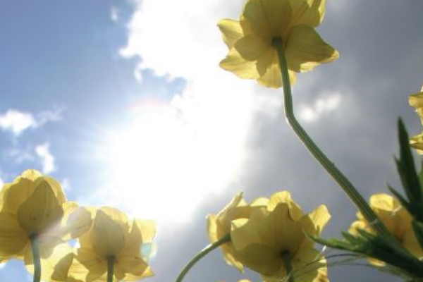 Фотографска изложба 