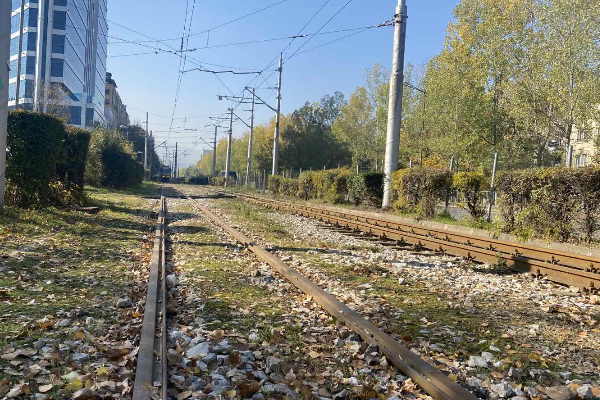 Възстановяват 10 км жив плет в обособеното трамвайно трасе по булевардите “Тотлебен“ и „Цар Борис III”
