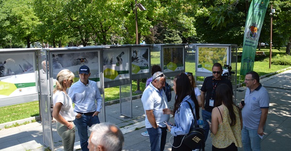 Фотоизложба показва от днес пред НДК възможностите за спорт на Витоша