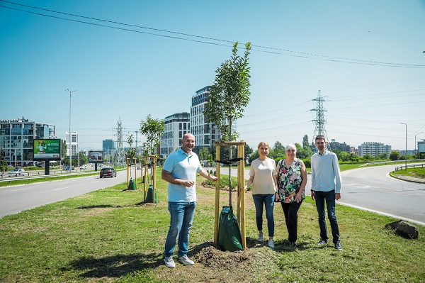 Ново линейно озеленяване с 65 дървета по пилотен проект прилага опита на Виена за напояване