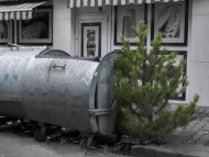 Не изхвърляйте коледните естествени елхи в общия отпадък!