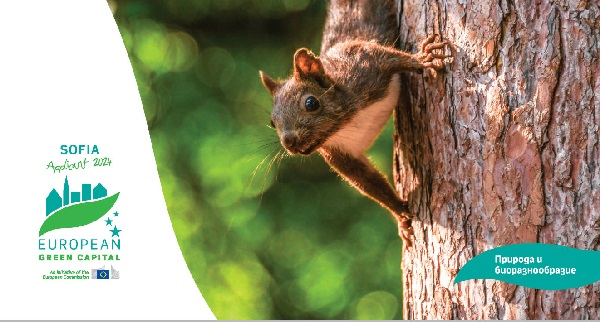 Изложба “София по пътя към зелената трансформация” в Галерия на открито в градина “Кристал”